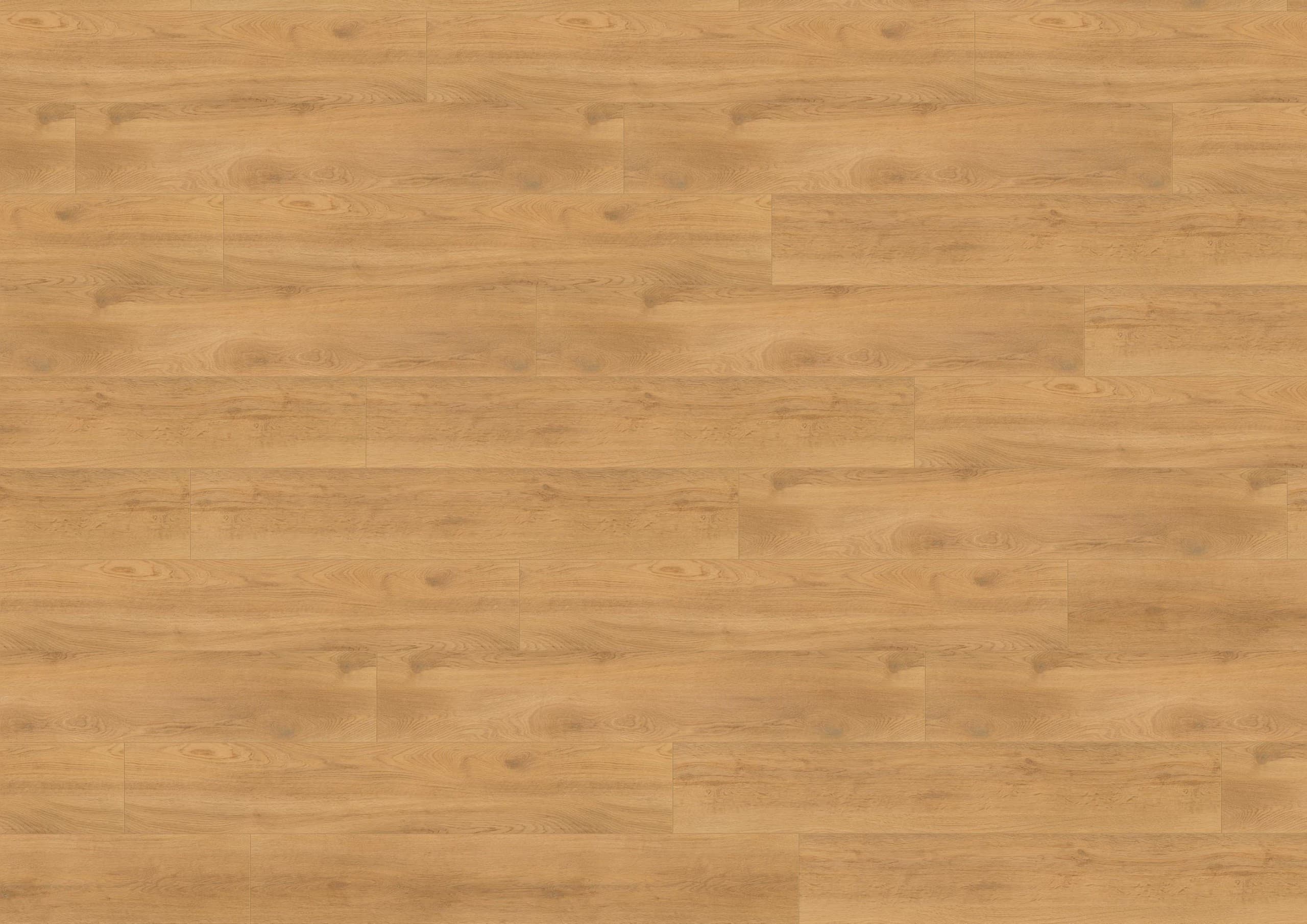 Wineo Purline 1200 wood XL, Let's go Max PL270R - náhled 2